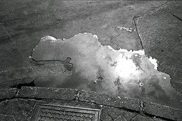 Picture of Puddle, Shenzhen 2012
水灘 2012, 深圳