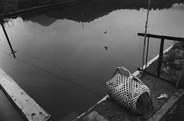 Picture of Pond and Swallows, Meizhou 2013
池塘與燕子 2013, 梅州