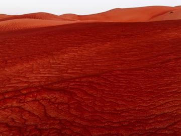 Picture of Red Sands of the Empty Quarter, The Empty Quarter, UAE, 2021