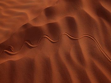 Picture of Red Serpent, The Empty Quarter, UAE, 2021